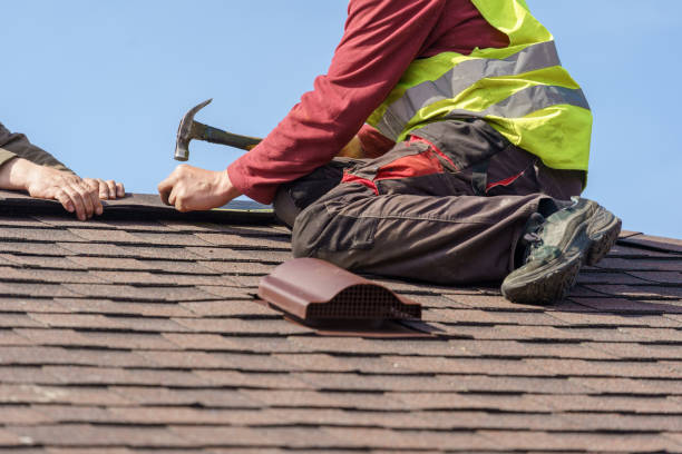 Best Roof Gutter Cleaning  in Highpoint, OH