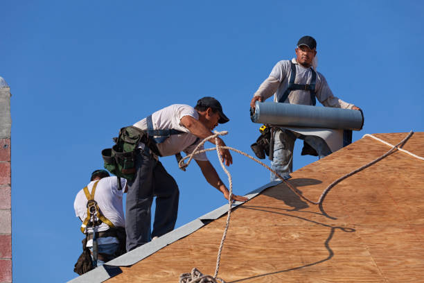 Best Roof Repair Services  in Highpoint, OH